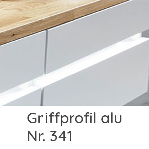 Griffvariante: Griffprofil alu
