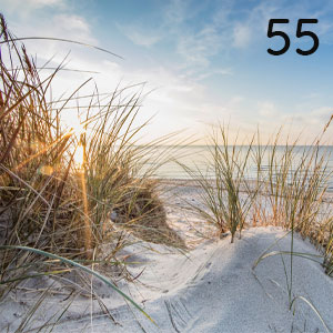 Motiv: Düne mit Küstengras