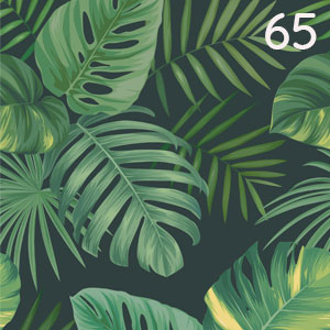 Motiv: Tropenblätter Monstera Mix